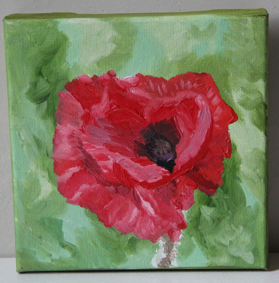 Picturesque Poppy 6 x 6- $46