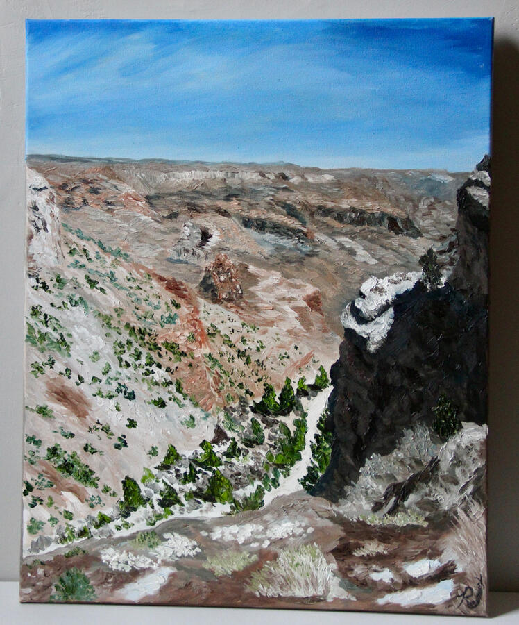 Grand Canyon Gaze 16 x 20- $330