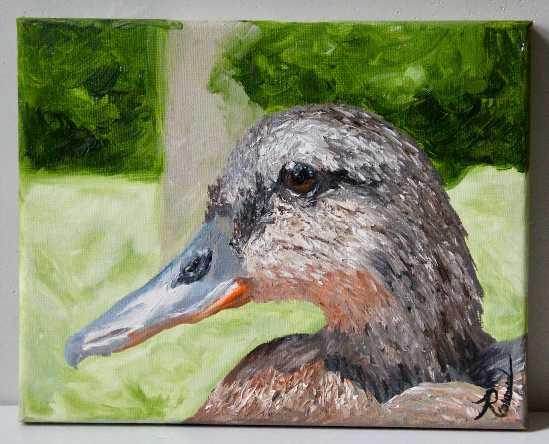 Duck on a Summer Day 8 x 10- $90