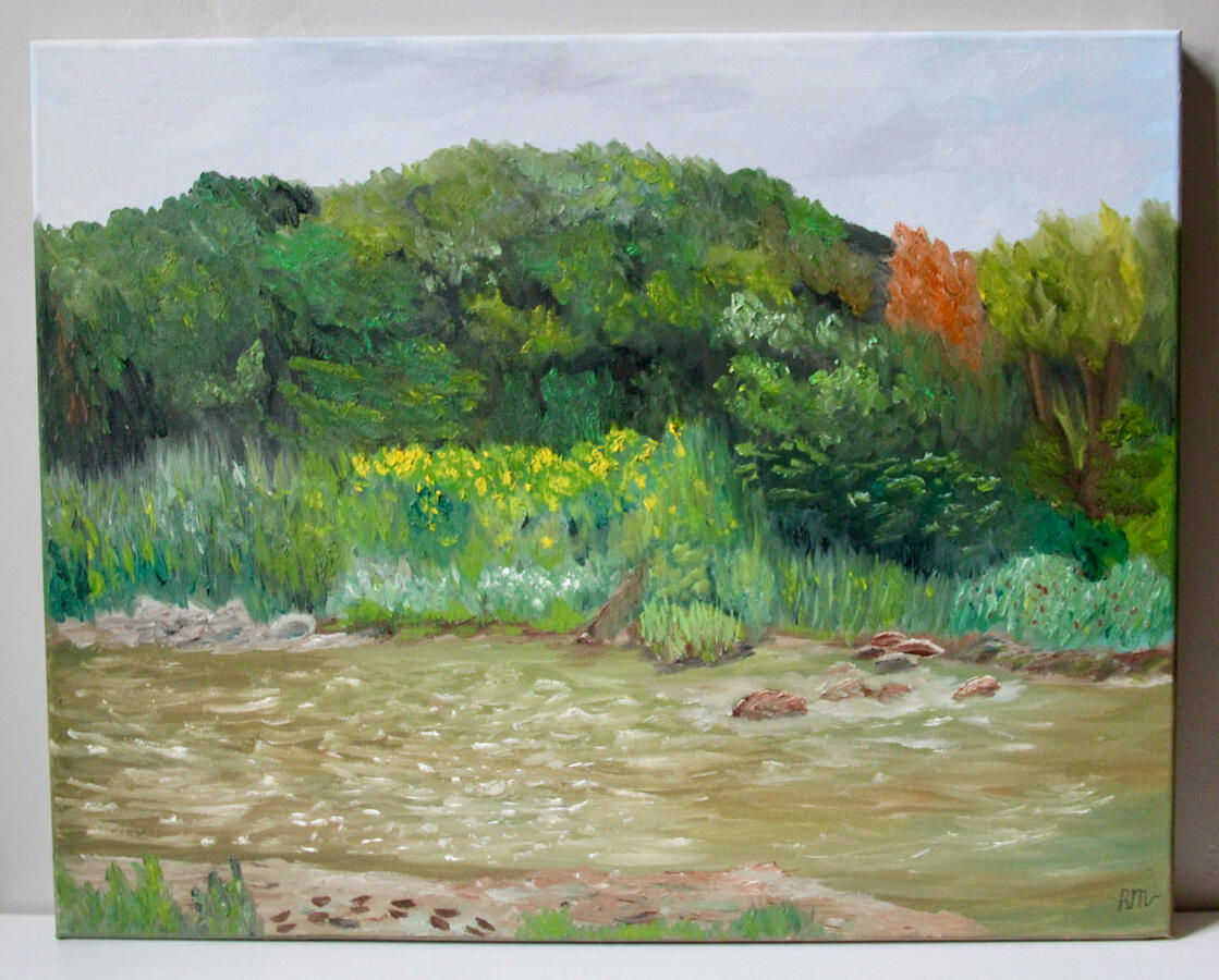 Overlooking Flandrau 16 x 20- $214