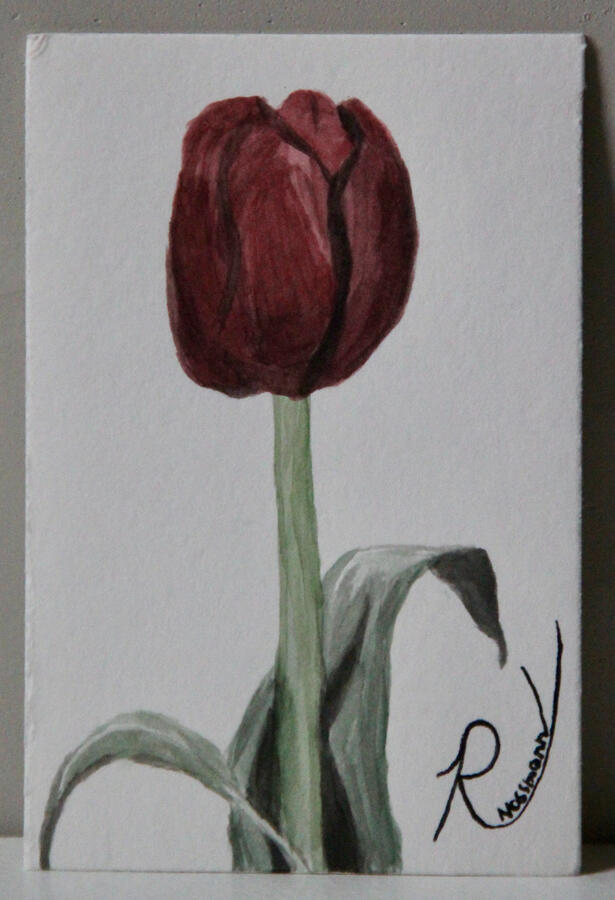 Lone Tulip- $24